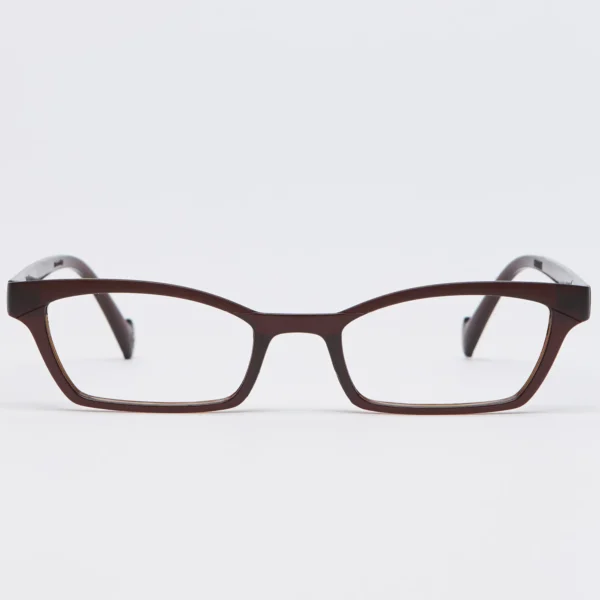 Classic Ready Readers Brown 103 F Shake