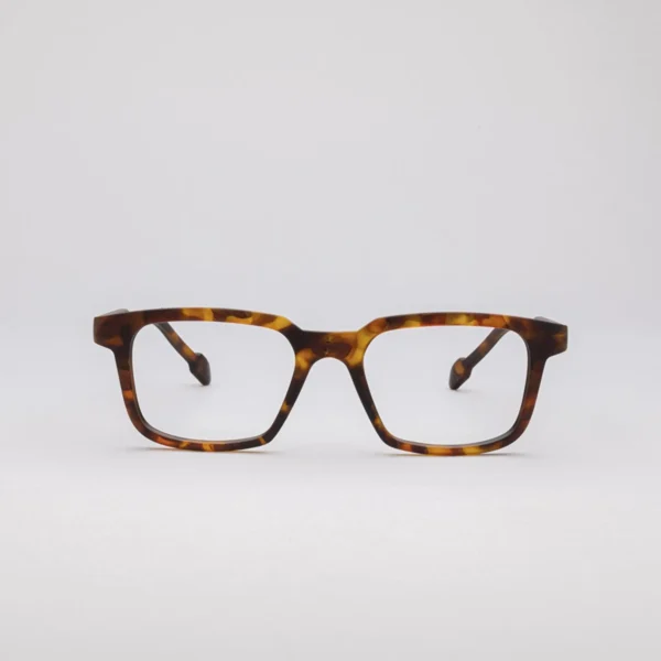 Fashionable Reading Glasses Tortoise 926 444 F Dashy