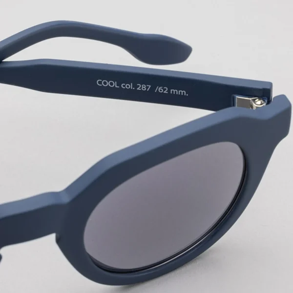 Fashionable Sunglasses Blue 287 D Cool